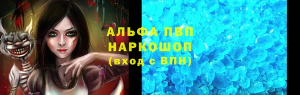 spice Аркадак