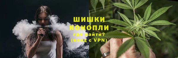 spice Аркадак