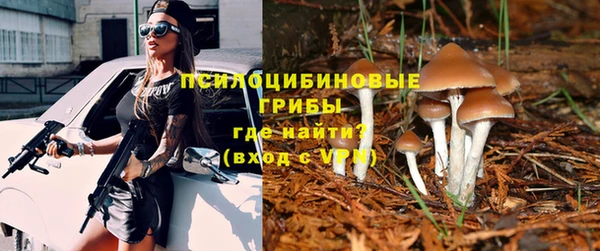 a pvp Балабаново