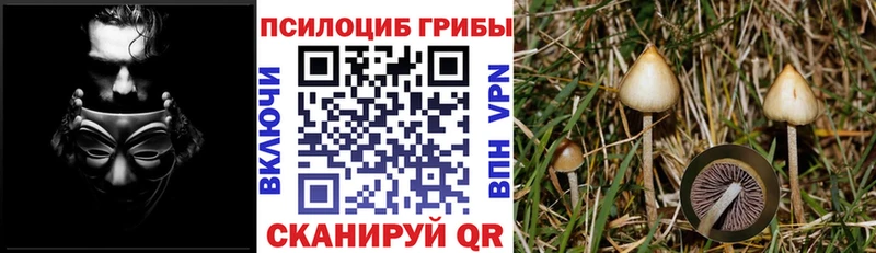 Галлюциногенные грибы ЛСД  цена   Облучье 